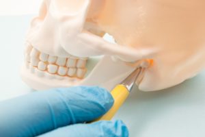 pointing at the TMJ joint on a model of a skull